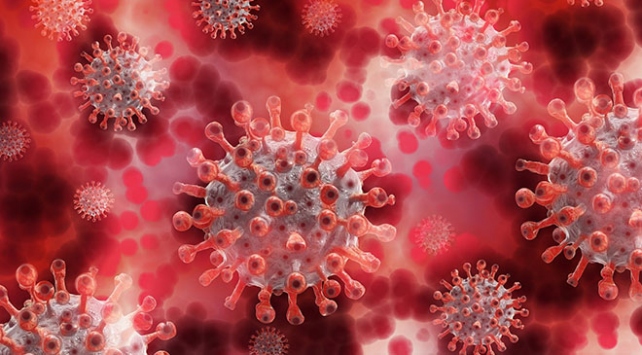 ABD’de yapılan bir çalışmada mutasyona uğrayan yeni tip koronavirüsün (COVID-19) daha bulaşıcı olabileceği ifade edildi.