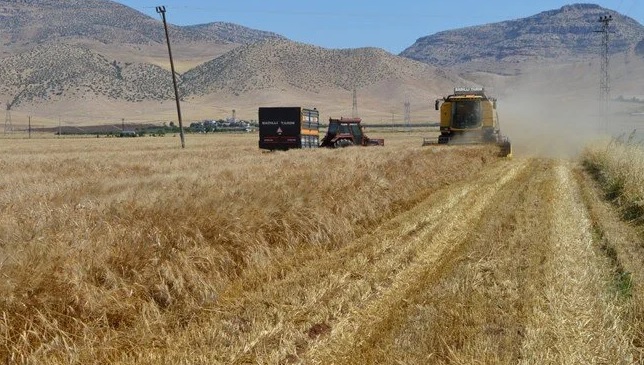 Irak’tan Suriye’ye 250 bin tonluk buğday yardımı