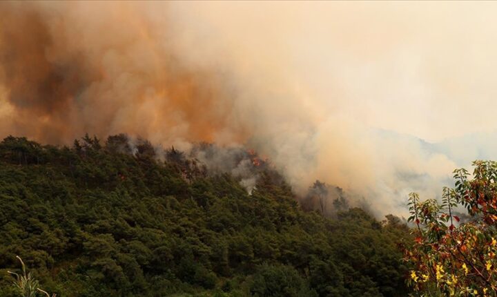 Suriye’nin Bayırbucak bölgesinde çıkan orman yangını sürüyor
