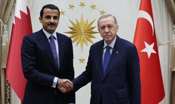 Türkiye Cumhuriyeti Cumhurbaşkanı Erdoğan Katar Emiri Al Sani ile görüştü