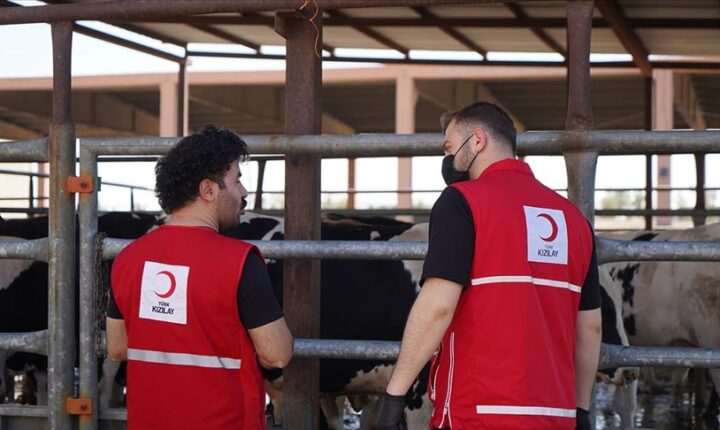 Türk Kızılay’dan Irak’ta ihtiyaç sahibi ailelere dokuz tonluk kurbanlık et bağışı
