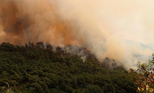 Suriye’de yangın: Mühimmat deposundaki eski roketler patladı