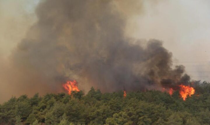 Türkiye’de 5 günde 342 yangın çıktı