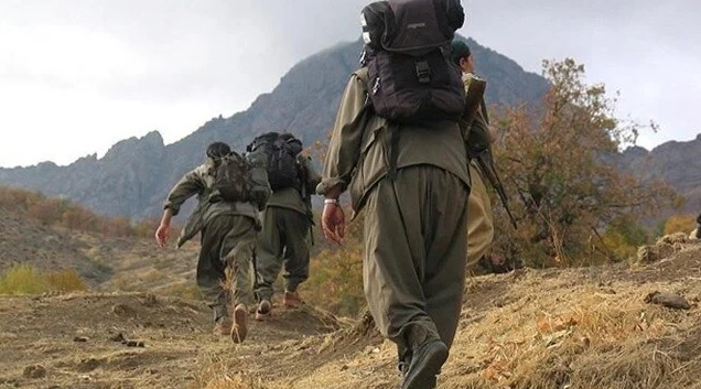 DEM Parti: PKK haftaya silah bırakacak