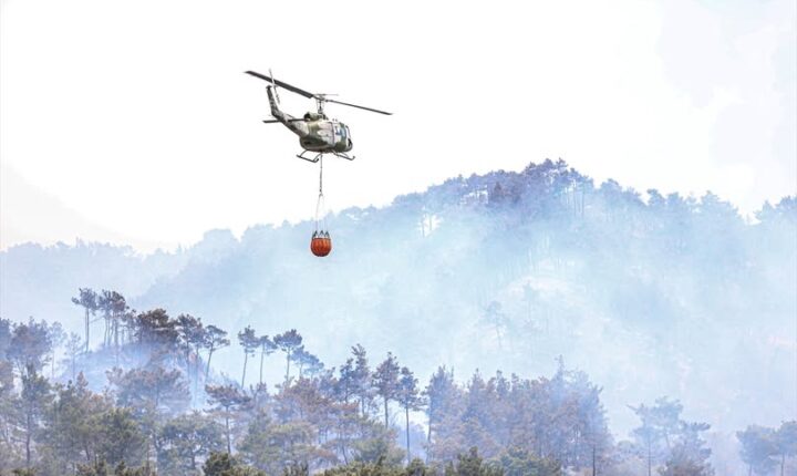 Suriye’de orman yangınlarıyla bağlantılı olduğu değerlendirilen şüpheliler gözaltına alındı
