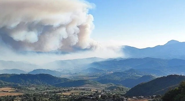 Suriye’deki orman yangını Hatay Yayladağı’na ulaştı