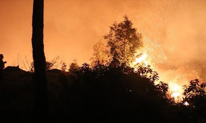 Hatay Valiliğinden Suriye’deki yangına ilişkin açıklama