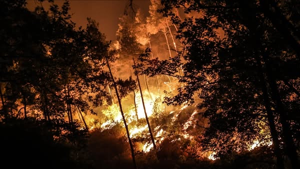 Suriye, Lazkiye kırsalındaki yangınlar için AB’den destek talep etti