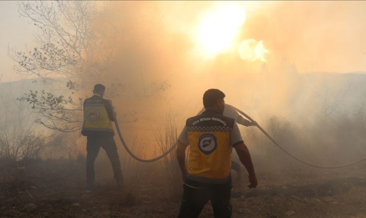 Lazkiye’deki orman yangınlarının büyük bölümü kontrol altına alındı