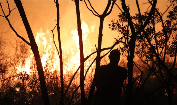 Suriye’nin Lazkiye ilinde çıkan orman yangınlarına müdahale ediliyor