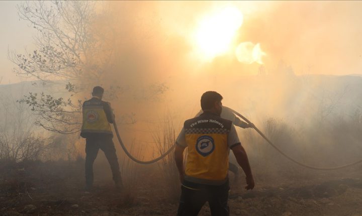 Suriye’nin 4 gündür yangınların sürdüğü Lazkiye ilinde 1 sivil savunma görevlisi hayatını kaybetti