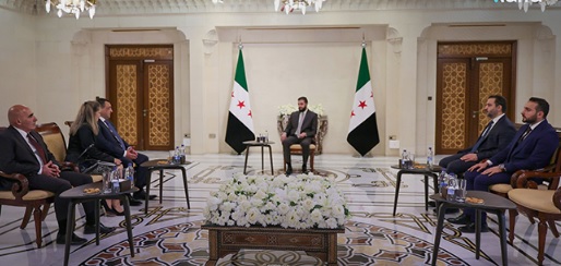 Suriye Cumhurbaşkanı Şara, Suudi Arabistan ve Ermenistan Büyükelçilerinin Güven Mektuplarını Kabul Etti