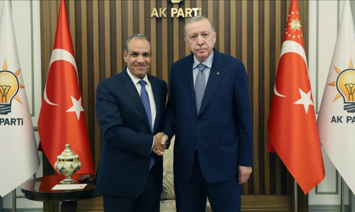 Türkiye Cumhuriyeti Cumhurbaşkanı Erdoğan, Mısır Dışişleri Bakanı Abdulati’yi kabul etti