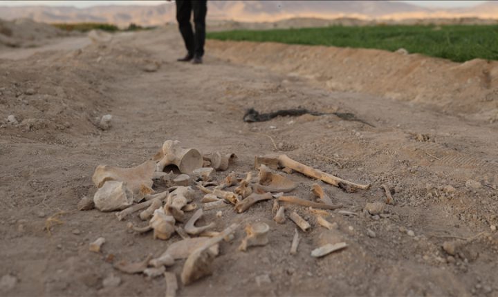 Suriye’nin Humus ilinde dört toplu mezar bulundu