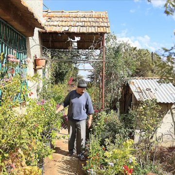 Suriyeli koleksiyoner Receb, evinde binlerce bitki türü yetiştiriyor