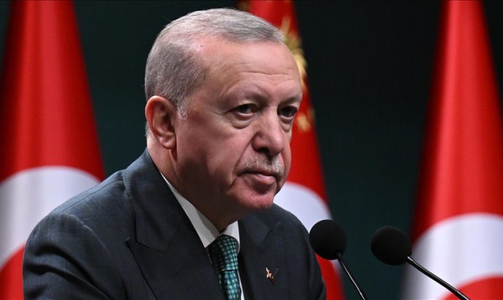 Türkiye Cumhuriyeti Cumhurbaşkanı Erdoğan, Nijer Cumhurbaşkanı Tchiani ile görüştü