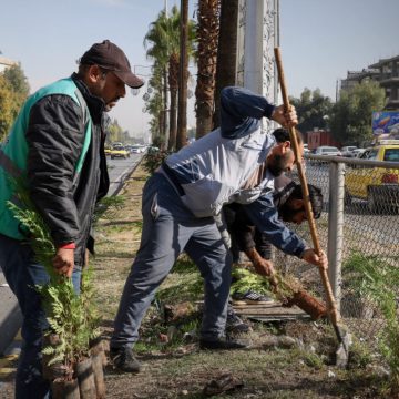 Şam’da 10 Bin Fidanla Yeşil Alan Seferberliği