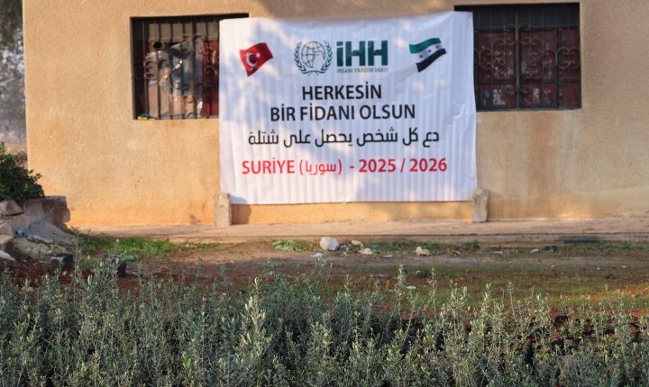 Suriye’de 30 Bin Zeytin Fidanı Dağıtıldı