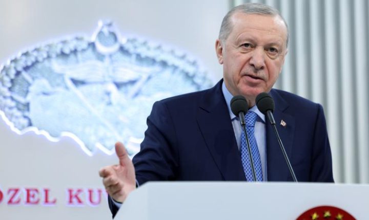 Cumhurbaşkanı Erdoğan: NATO ile birlikte gerekli müdahalede bulunuyoruz