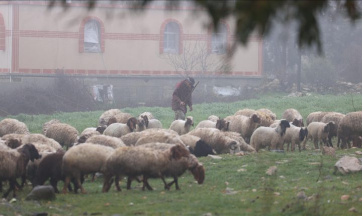 İsrail’in, Suriye’nin güneyindeki ihlalleri bölgede tarım ve hayvancılığı vurdu