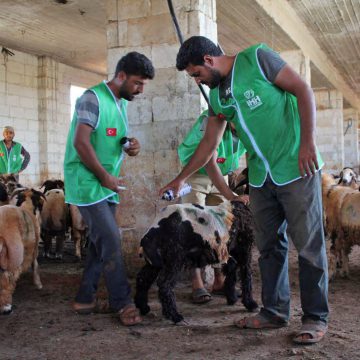 İHH, Suriye’de Binlerce Aileye Kurban Eti Ulaştırdı