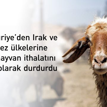 Irak, Suriye’den canlı hayvan ithalatını yasakladı